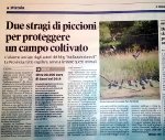 20150428_il_tirreno_thumb